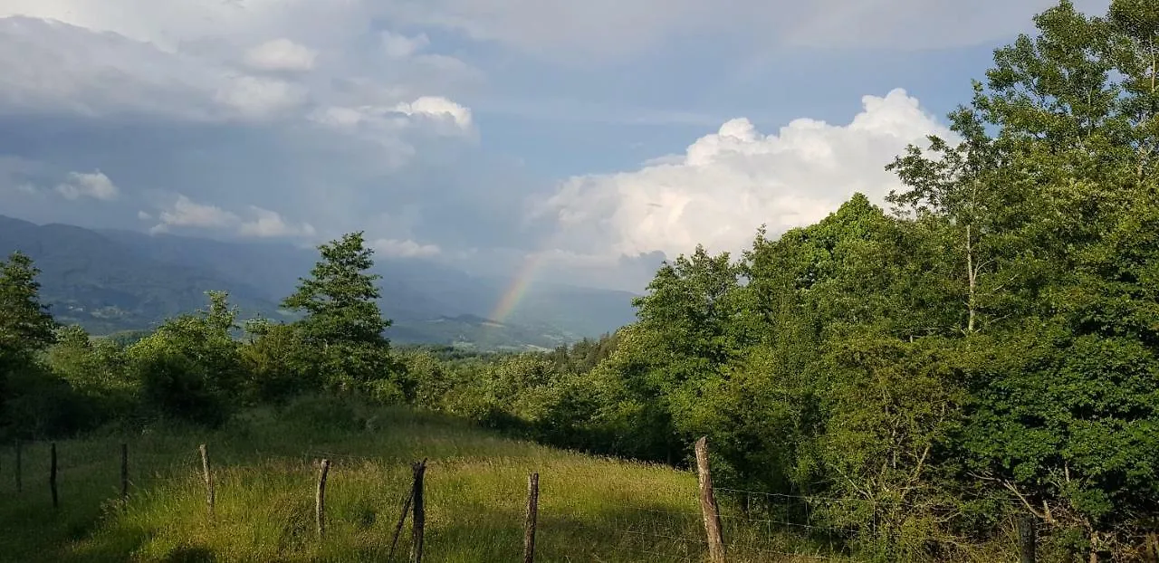 Agriturismo Podere Omomorto Pratovecchio Stia