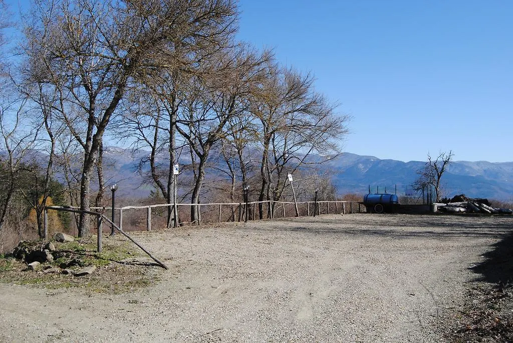 Podere Omomorto Apartment Pratovecchio Farm stay