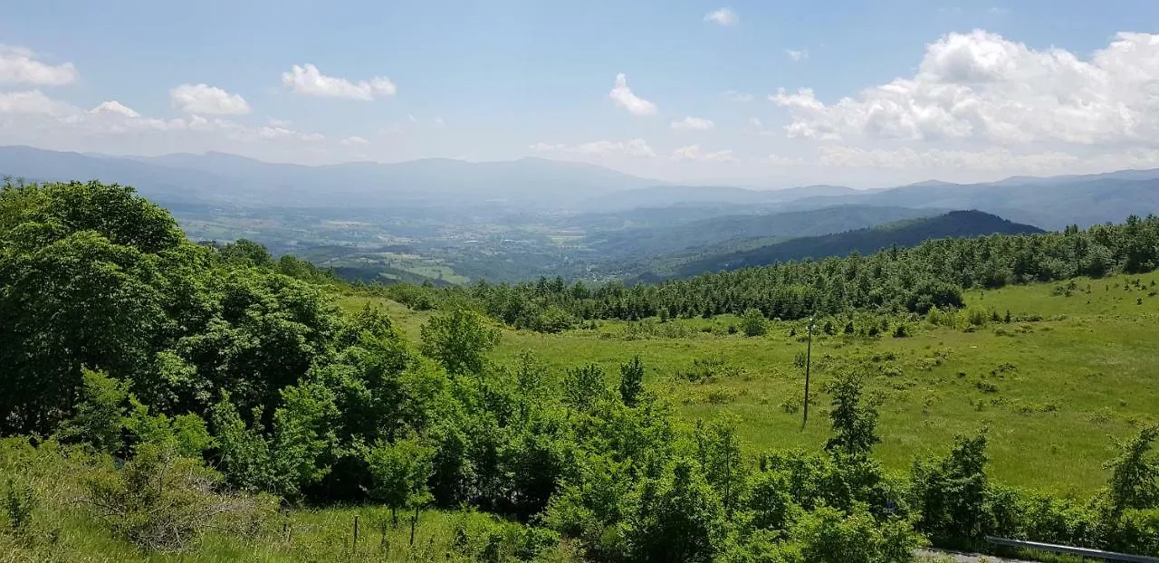 Podere Omomorto Apartment Pratovecchio Farm stay
